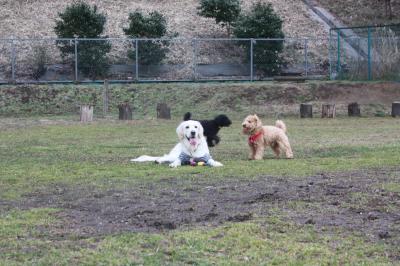 IMG_9145_convert_20120308202236.jpg