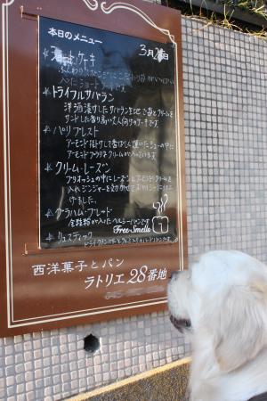 IMG_9337a_convert_20120325231930.jpg