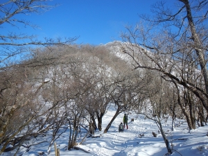 20140112-5.jpg