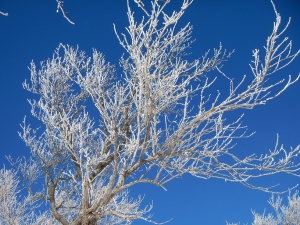 20140112-6.jpg
