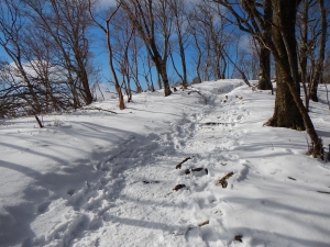 20140112-7.jpg