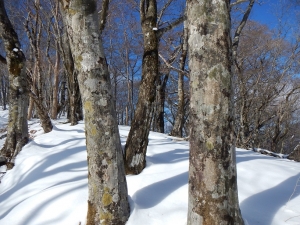 20140112-9.jpg