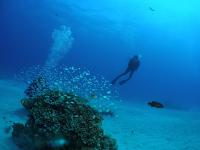 20130625b.jpg