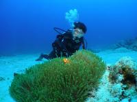 20130625h.jpg