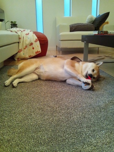 201401_13.jpg