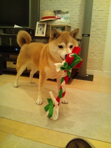 201401_7.jpg