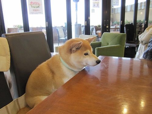 20140211_1.jpg