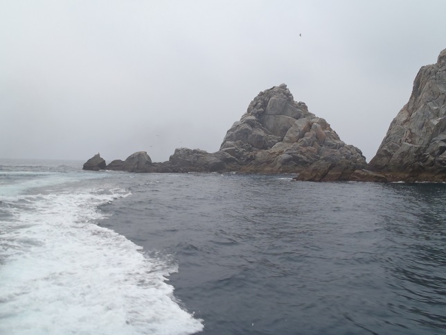 P2030219a.jpg