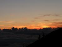 RIMG0794a.jpg