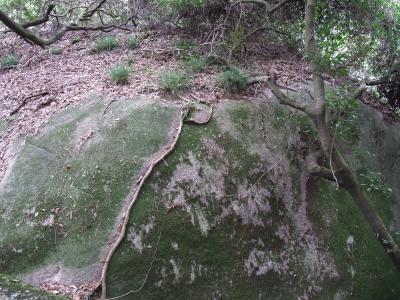 いわふね13