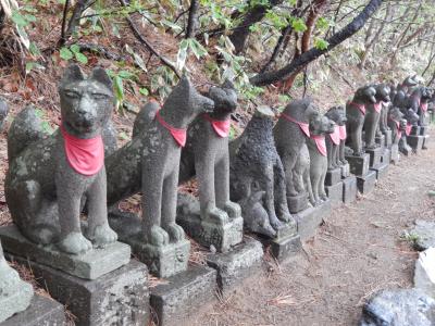 きつねさん