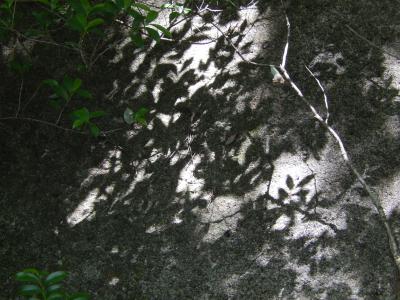 hosigami