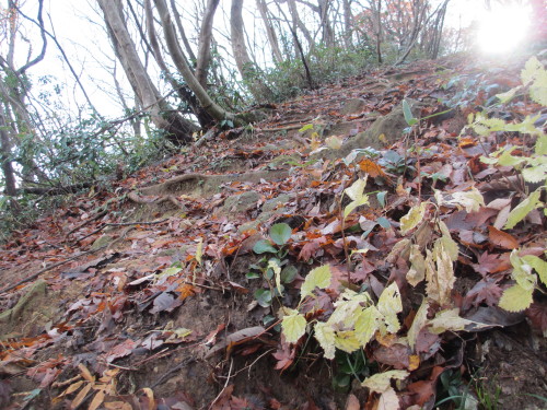 2013年12月2日③_1