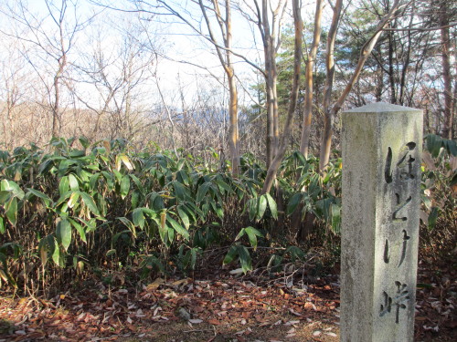 2013年12月8日⑨_1