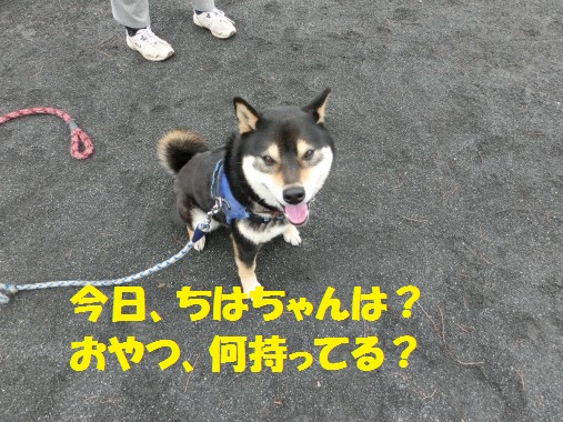 20130310-1.jpg