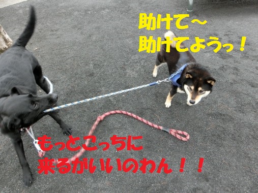 20130310-10.jpg