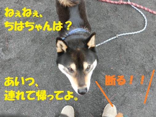 20130310-11.jpg