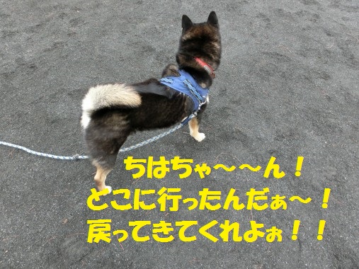 20130310-12.jpg