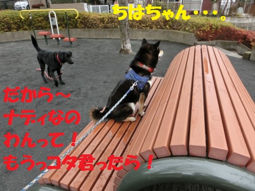 20130310-13.jpg
