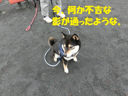 20130310-3.jpg