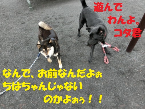 20130310-6.jpg