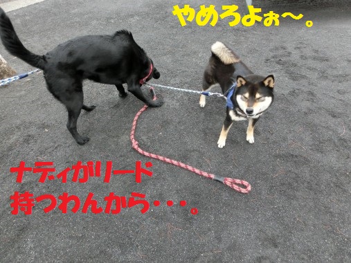 20130310-7.jpg