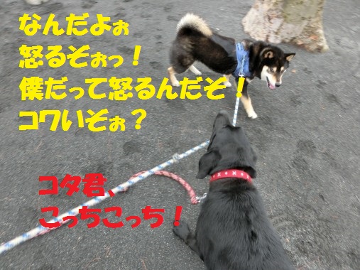 20130310-8.jpg