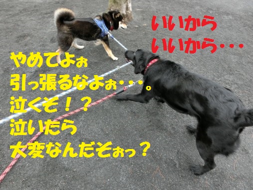 20130310-9.jpg