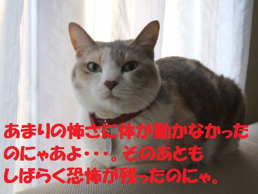 20130311-2.jpg