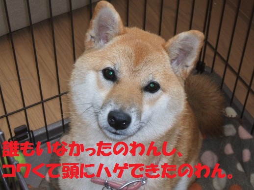 20130311-3.jpg