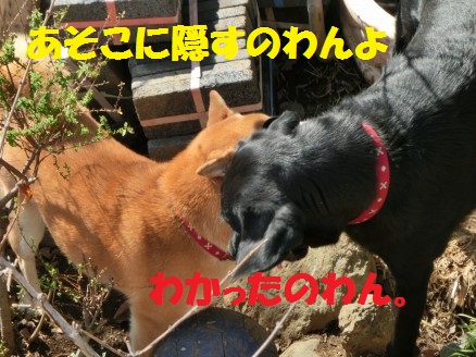 20130312-10.jpg