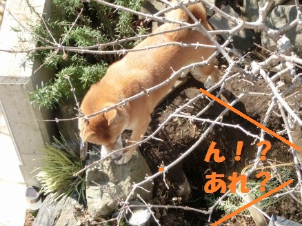 20130312-11.jpg