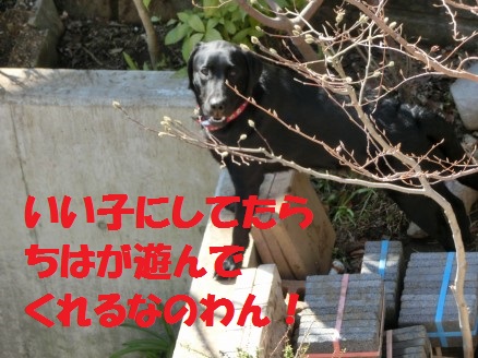 20130312-2.jpg