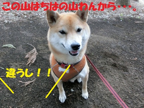 20130313-1.jpg
