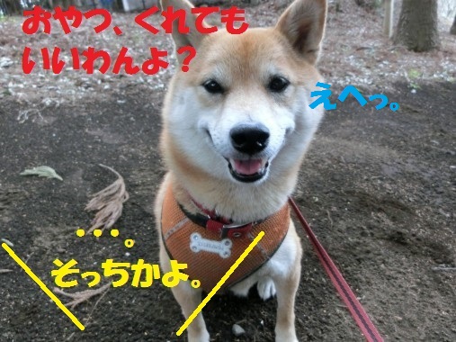 20130313-10.jpg