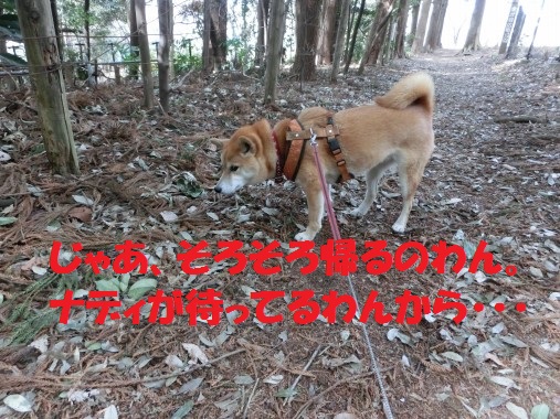 20130313-11.jpg