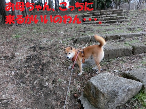 20130313-5.jpg