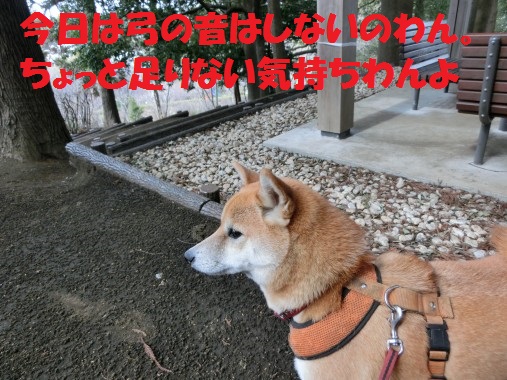 20130313-7.jpg