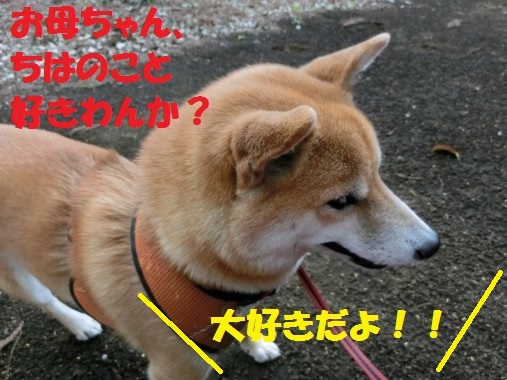 20130313-9.jpg