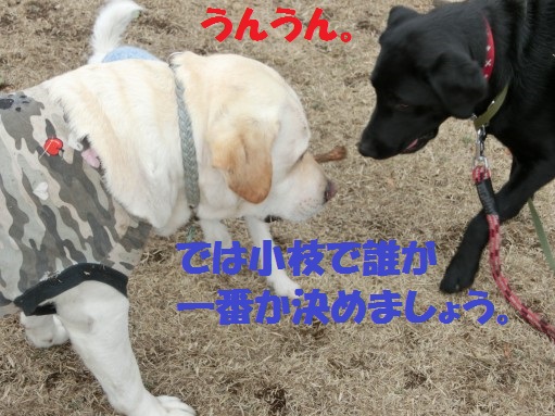 20130314-10.jpg
