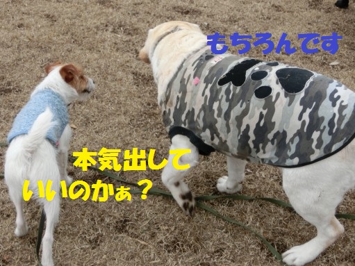 20130314-11.jpg