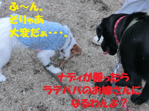 20130314-12.jpg