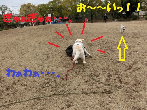 20130314-5.jpg
