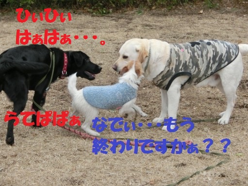 20130315-10.jpg