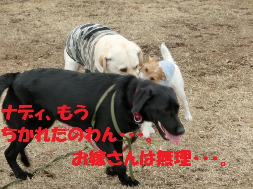 20130315-11.jpg