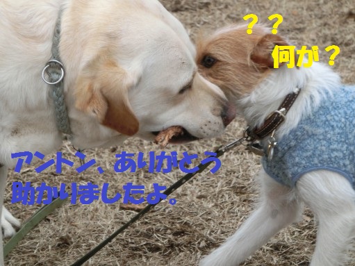 20130315-12.jpg