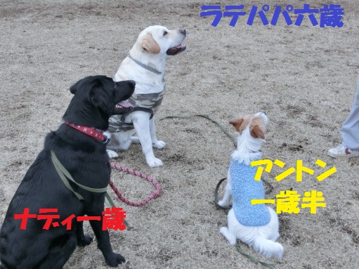 20130315-2.jpg