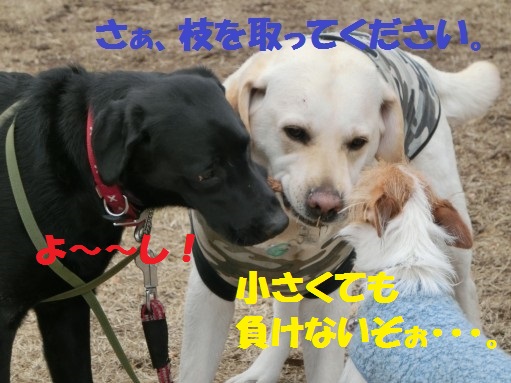 20130315-4.jpg