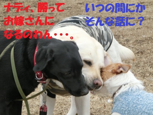 20130315-6.jpg