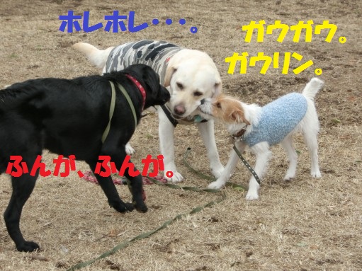 20130315-8.jpg
